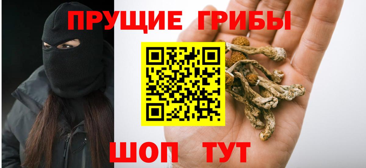 Каменка  Галлюциногенные грибы мицелий  Псилоцибиновые грибы прущие грибы  где можно купить наркотик  Вход с VPN 