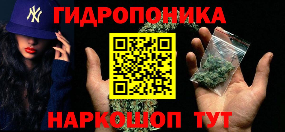 Конопля сатива Каменка